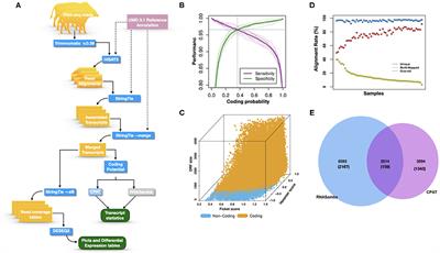 Identification of Long Non-coding RNA Isolated From Naturally Infected Macrophages and Associated With Bovine Johne's Disease in Canadian Holstein Using a Combination of Neural Networks and Logistic Regression